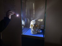 Nachts im Museum in der Ausstellung zur „Schlacht am Brunsberg“