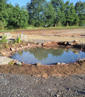 Vortrag: Ein Teich im Garten