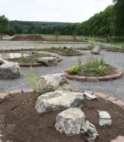 Vortrag: Wege und Plätze im Garten