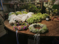 Workshop: Sommerkränze